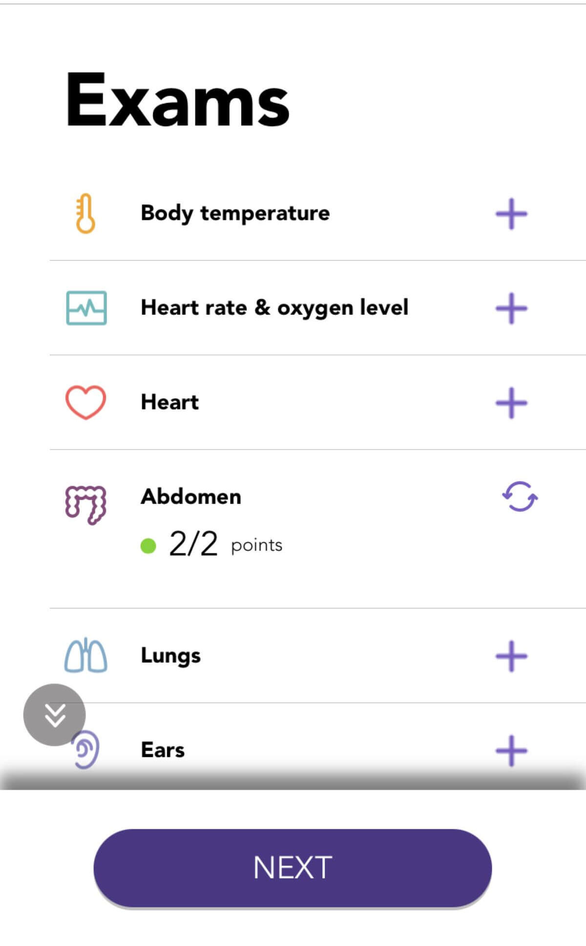 Abdomen - NONAGON Knowledge Base
